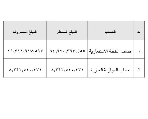 كشف مالي خاص بالبيانات المالية لسنة 2025